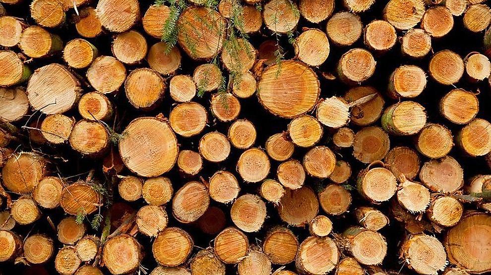 Du bois illégal en Belgique?