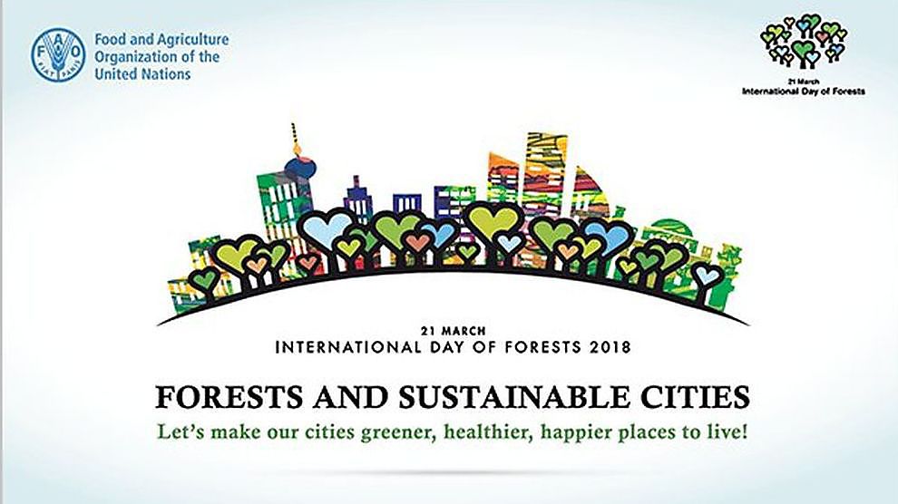 La Journée internationale des forêts 
