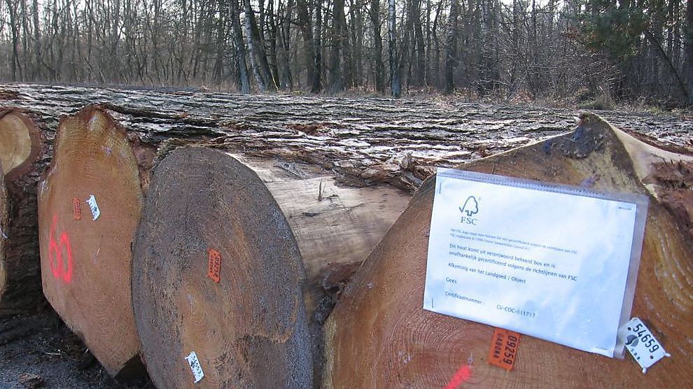 23% totale houtproductie FSC-gecertificeerd