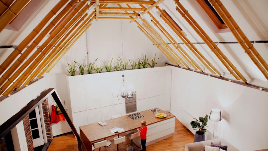 Bamboe als alternatief voor houten constructies