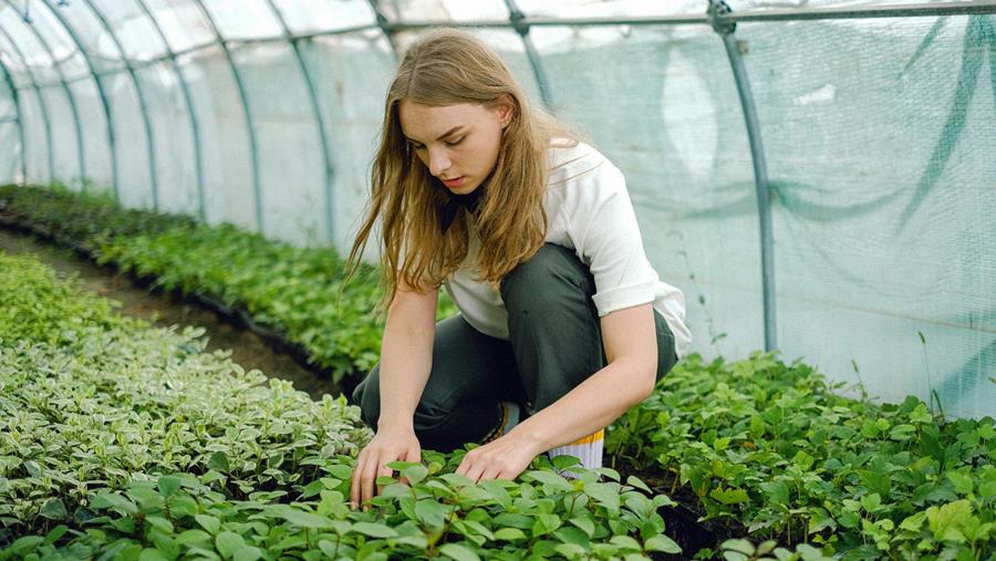 ÊTES-VOUS L'ENTREPRENEUR DE JARDIN DU FUTUR ?