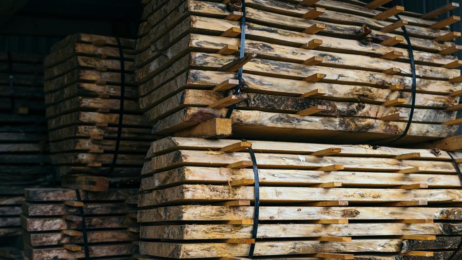 Le président Trump ouvre une enquête sur les importations de bois américain