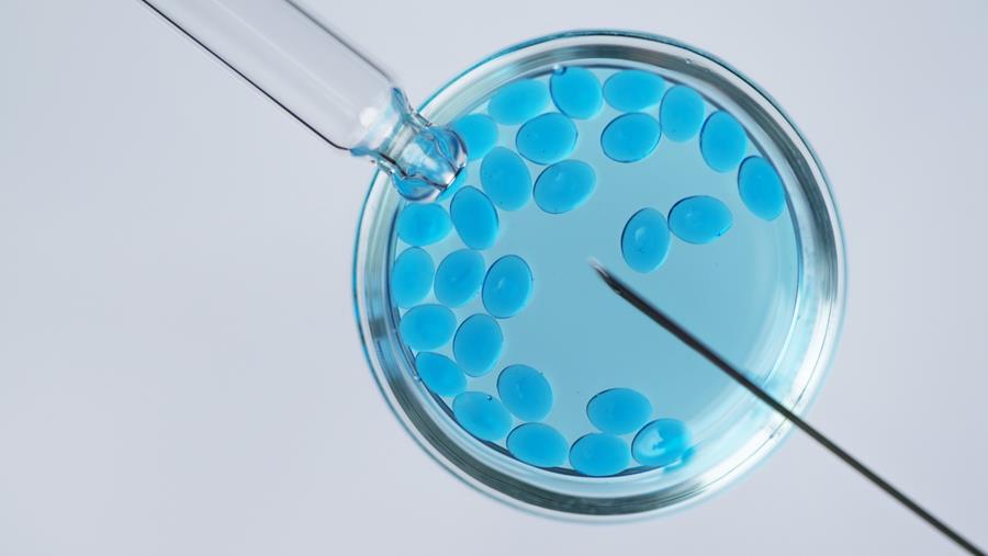 Leeftijdsgrens voor IVF met ingevroren eicellen naar 47 jaar: "Duur, onvoldoende doordacht en belastend voor de toekomst"