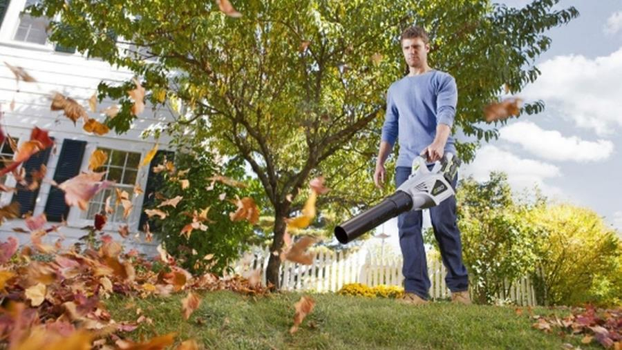 Tout sur les souffleurs de feuilles