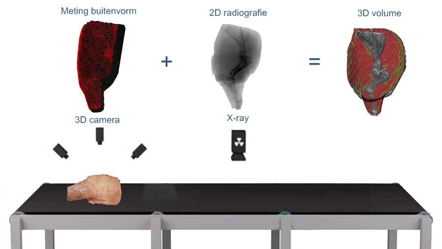 Une imagerie innovante pour faire avancer la transformation moderne de la viande