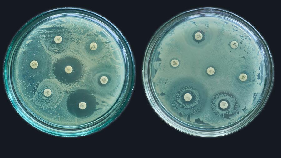 Antibioticaresistentie nam met 40 procent toe in vijf jaar (WHO)